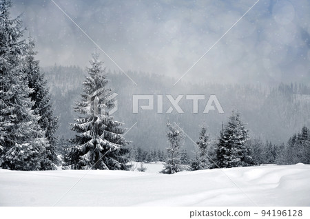 Winter landscape with snowy trees and snowflakes 94196128