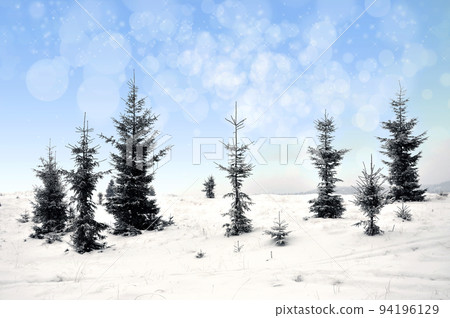Winter landscape with snowy trees and snowflakes 94196129
