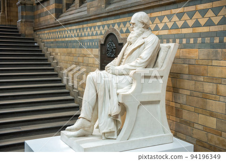Statue of Charles Darwin in Natural History Museum, London 94196349
