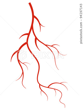 Human veins. Red silhouette vessel, arteries or capillaries on white background. Concept anatomy element for medical science. Vector isolated symbol of blood system 94197143