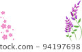 cherry blossoms and lavender 94197698