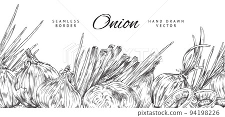 Hand drawn onion seamless border, black and white sketch vector illustration on white background. Hand drawn onion seamless border, black and white sketch vector illustration on white background. 94198226