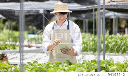 Owner of a small organic vegetable garden uses a tablet to control and direct the supply of water and nutrients or to record the growth of vegetables in the garden, Vegetables in the greenhouse. 94198242