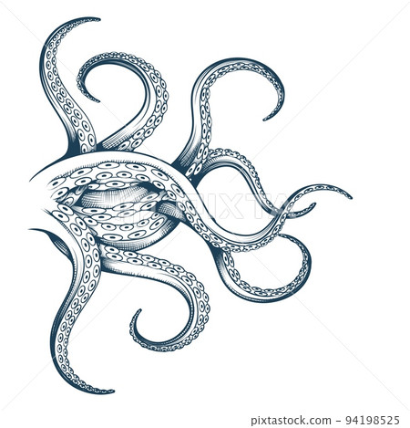 Tentacles ink sketch Tentacles ink sketch 94198525