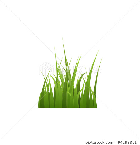 Bunch of green lawn grass and herbs realistic vector illustration isolated. 94198811