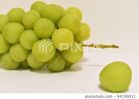 Autumn taste Shine Muscat 94199011