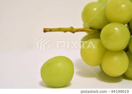 Autumn taste Shine Muscat Autumn taste Shine Muscat 94199019