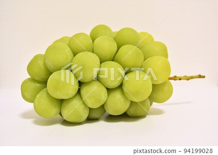 Autumn taste Shine Muscat Autumn taste Shine Muscat 94199028