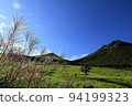 Pampas grass autumn scenery at the foot of Mt. Yufu 94199323