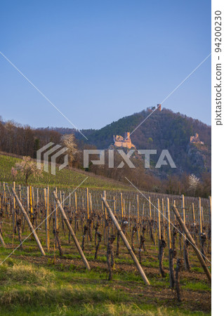Chateau de Saint-Ulrich ruins, Chateau du Girsberg ruins and Chateau du Haut-Ribeaupierre near Ribeauville, Alsace, Chateau de Saint-Ulrich ruins, Chateau du Girsberg ruins and Chateau du Haut-Ribeaupierre near Ribeauville, Alsace, 94200230