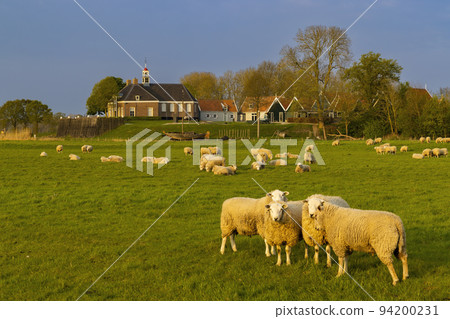 Former island of Schokland, UNESCO World Heritage Site, Netherlands 94200231