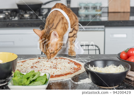 A cat dressed as a chef prepares pizza in the kitchen. A cat dressed as a chef prepares pizza in the kitchen. 94200429
