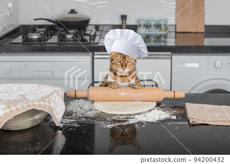 A domestic cat rolls out pizza dough on the kitchen table using a rolling pin. 94200432