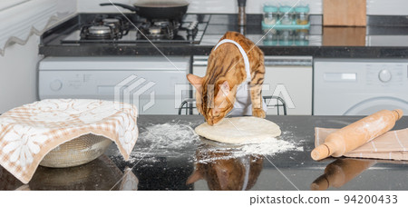 A domestic cat rolls out pizza dough on the kitchen table using a rolling pin. A domestic cat rolls out pizza dough on the kitchen table using a rolling pin. 94200433