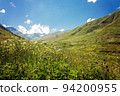 View of high alpine meadows. 94200955