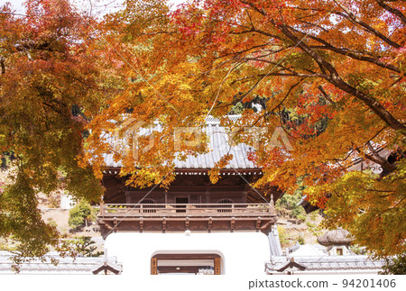 京都興勝寺 京都紅葉景點 宇治旅遊景點 京都紅葉隧道 94201406