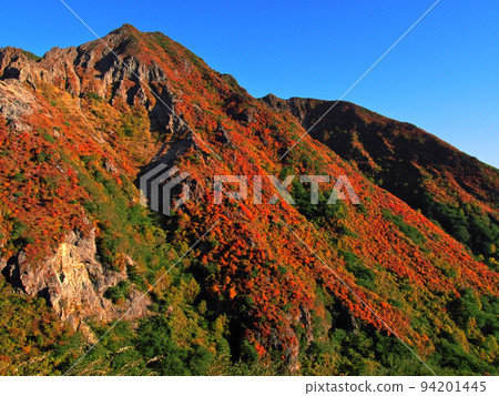 紅葉鮮活的火山(栃木縣那須市旭岳) 紅葉鮮活的火山(栃木縣那須市旭岳) 94201445
