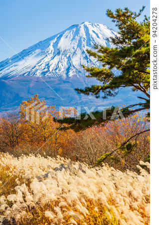 At the foot of Mt. Fuji in autumn in Narusawa Village, Yamanashi Mt. Fuji seen from Sankodai in autumn colors 94204278
