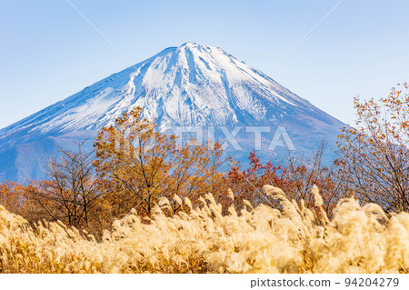 At the foot of Mt. Fuji in autumn in Narusawa Village, Yamanashi Mt. Fuji seen from Sankodai in autumn colors 94204279