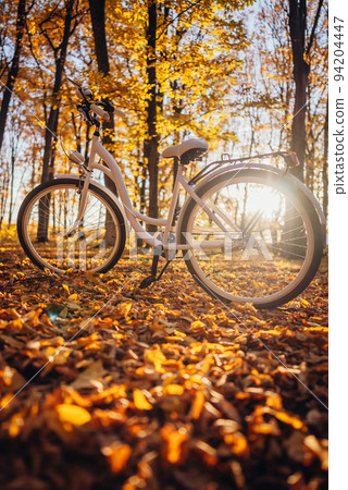 Retro styled white bicycle parked in autumn orange park. Beautiful scene of sun leaks. Amazing 94204447