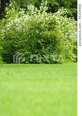 park glade park glade 94204908