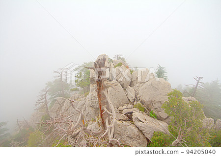 top of mountain in fog 94205040