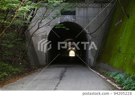 栃木縣那須鹽原市美山隧道 栃木縣那須鹽原市美山隧道 94205228