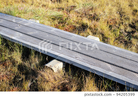 A wooden path in the National Park in Estonia among the forest and bog on a clear day 94205399