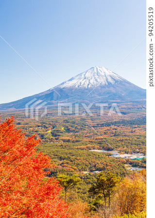 At the foot of Mt. Fuji in autumn in Narusawa Village, Yamanashi Mt. Fuji seen from Koyodai 94205519