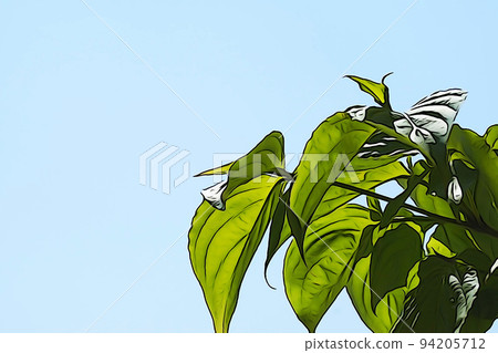 柔和的色調“在藍天中閃耀的葉子”插圖圖像 94205712