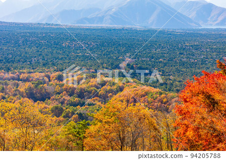 At the foot of Mt.Fuji in autumn in Narusawa Village, Yamanashi Aokigahara Jukai seen from Koyodai At the foot of Mt.Fuji in autumn in Narusawa Village, Yamanashi Aokigahara Jukai seen from Koyodai 94205788