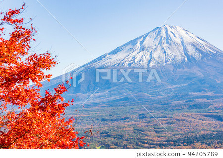 At the foot of Mt. Fuji in autumn in Narusawa Village, Yamanashi Mt. Fuji seen from Koyodai At the foot of Mt. Fuji in autumn in Narusawa Village, Yamanashi Mt. Fuji seen from Koyodai 94205789