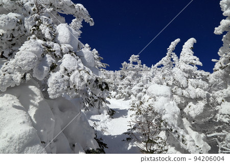 Scenery of forest zone of Mt. Kita-yokodake in severe winter (section from Mt. Kita-yokodake hut to Minami peak) 94206004