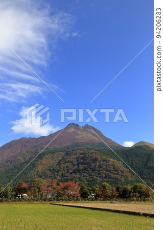 秋天從由布市郊外看到的由布山（2021年11月，大分縣由布市） 94206283