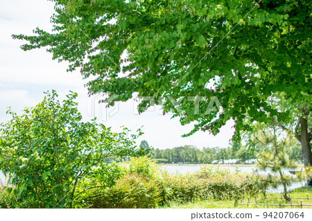 Mizumoto Park Small pool / Katsushika Ward, Tokyo 94207064