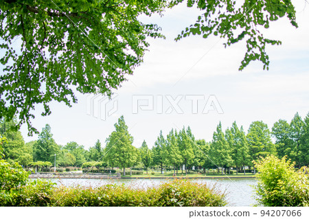 Mizumoto Park Small pool / Katsushika Ward, Tokyo 94207066