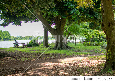 水本公園小泳池/東京葛飾區 水本公園小泳池/東京葛飾區 94207067