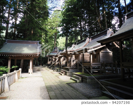 Yahiko Shrine Sesha/Suisha 94207198