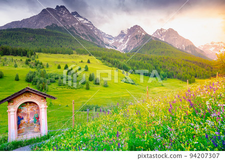 Tarasp with colorful wildflowers and meadows at springtime, Engadine, Swiss Alps 94207307