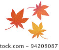 Autumn leaves 94208087