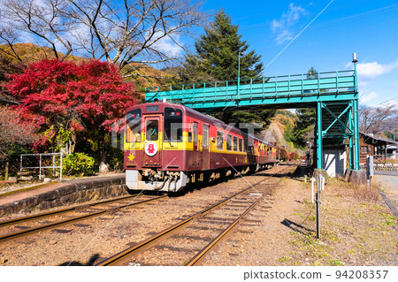 澤入站立交橋和無軌電車 94208357