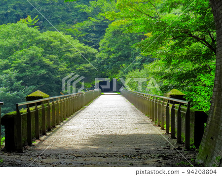 Megane Bridge 94208804