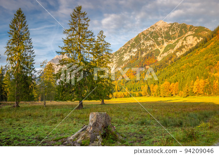 Pine trees in Alps at autumn sunrise, Karwendel mountains in Innsbruck, Tyrol 94209046