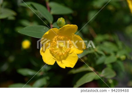 Sei Itai Sei Itai 94209488