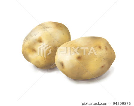 Realistic watercolor illustration of overlapping potatoes Realistic watercolor illustration of overlapping potatoes 94209876