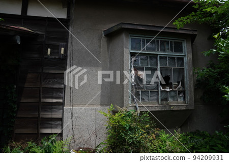 廢棄的房子/廢棄的房子/常春藤覆蓋的房子/二層的房子/獨立的房子/破舊的房子/密集的房子 廢棄的房子/廢棄的房子/常春藤覆蓋的房子/二層的房子/獨立的房子/破舊的房子/密集的房子 94209931