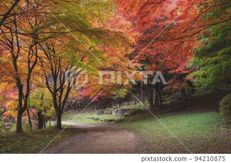 211107城山公園z062 94210875