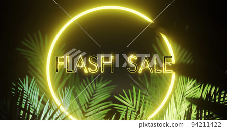 Image of flash sale over neon shape and leaves on black background Image of flash sale over neon shape and leaves on black background 94211422