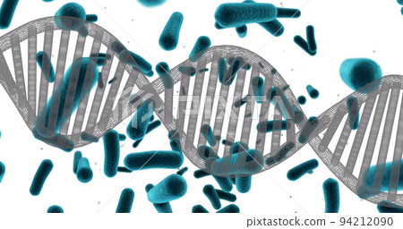 Image of dna strand over cells on white background Image of dna strand over cells on white background 94212090
