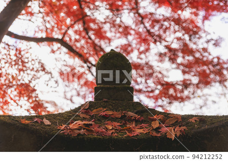 211110日枝神社z154 211110日枝神社z154 94212252